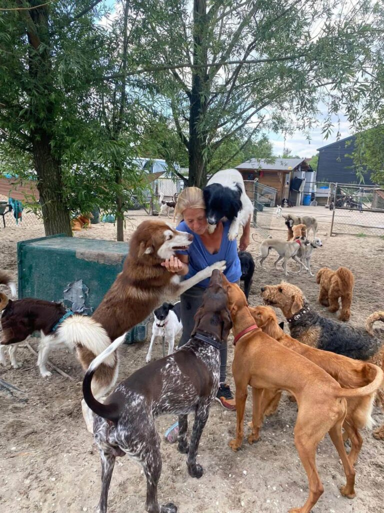 Nancy met een groep honden op ons terrein