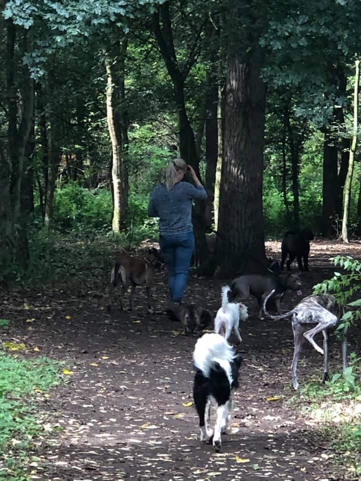 Een begeleider loopt met een uitlaatgroep door het bos